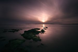 Rhosneigr Purple